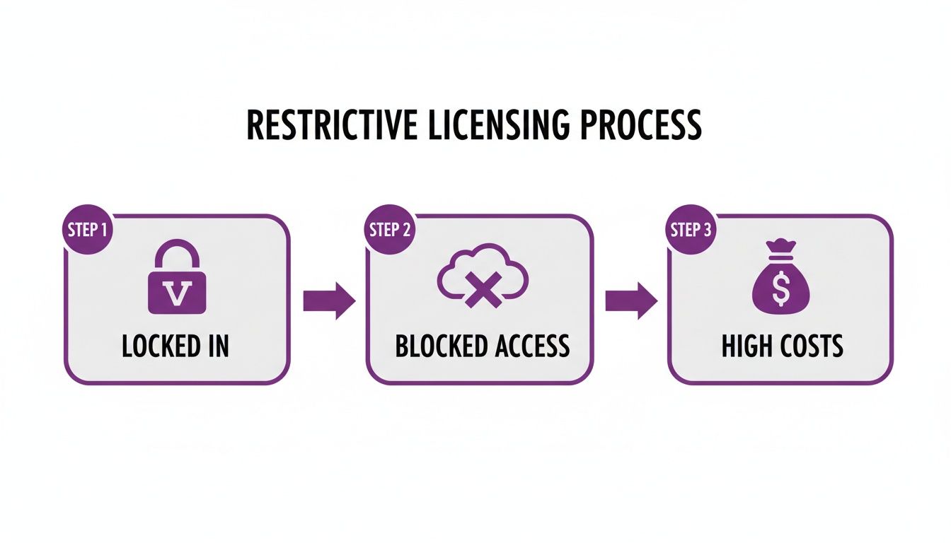 Diagram illustrating a restrictive software licensing process with three steps: locked in, blocked access, and high costs.