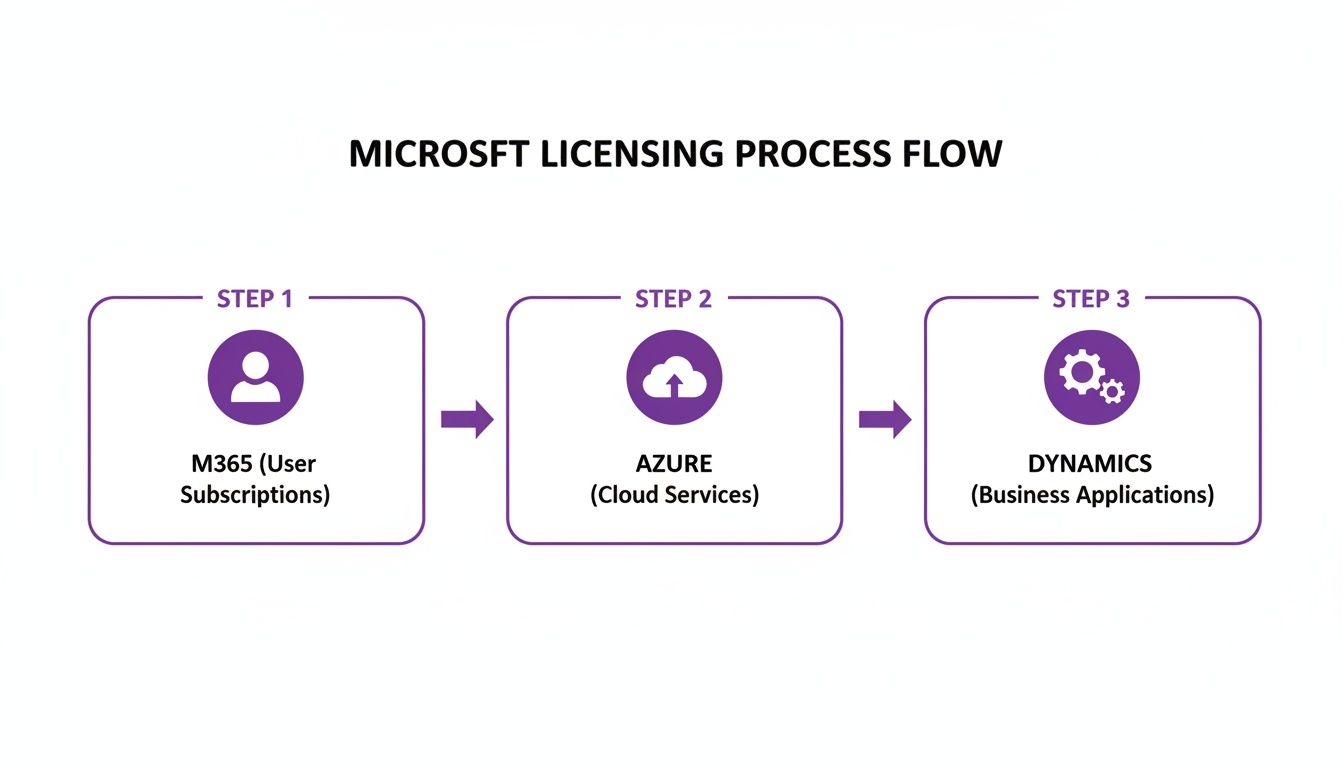 Flowchart detailing the Microsoft licensing process, from M365 user subscriptions to Azure and Dynamics.